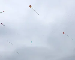 Nilüfer’de gökyüzü uçurtmalarla renklendi