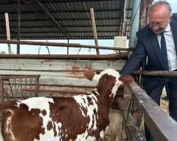 Selendili Üreticilere “Tek Dam Projesi” Anlatıldı