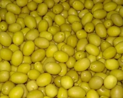 Sofralık zeytin ihracatı 250 milyon dolara koşuyor