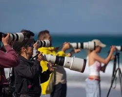 Sony Kando Trip 2025 ile Yaratıcılığı ve İlhamı Portekiz’de Buluşturdu