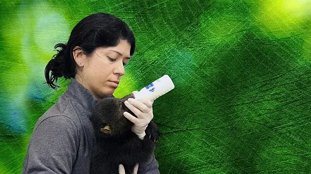 ‘Tampa’nın Sırları: Vahşi Taraf’, 5 Mayıs Pazartesi Günü 20.00’de National Geographic WILD Ekranlarında!