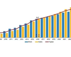 Ulusal Eğitim İstatistikleri, 2024