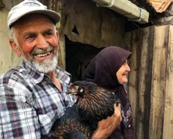 Üreticiye yüzde 50 hibeli yumurta tavuğu desteği