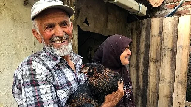 Üreticiye yüzde 50 hibeli yumurta tavuğu desteği