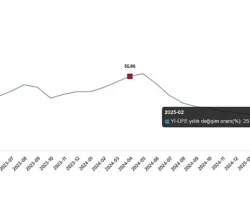 Yurt İçi Üretici Fiyat Endeksi, Nisan 2025