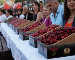 52’nci Altın Kiraz Kültür ve Sanat Festivali Coşkuyla Kutlandı