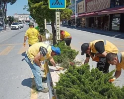 Başkan Çerçioğlu’nun Hizmetleri Kuşadası’nı Doğanın Yeşil Tonları ile Buluşturuyor