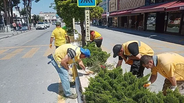Başkan Çerçioğlu’nun Hizmetleri Kuşadası’nı Doğanın Yeşil Tonları ile Buluşturuyor