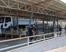 Bayraklı Kurban Bayramı’na hazır