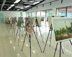 Bu fotoğraf sergisi Ormanya’da görsel şölen sunuyor