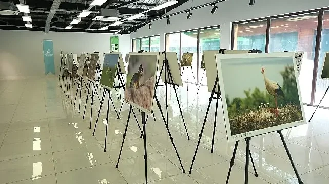 Bu fotoğraf sergisi Ormanya’da görsel şölen sunuyor