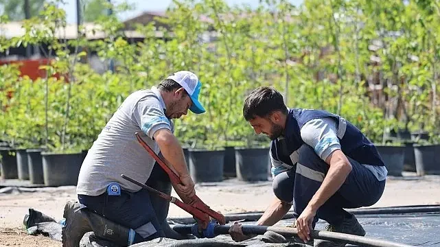 Büyükşehir’in fidanlığı Kocaeli’ni yeşillendiriyor