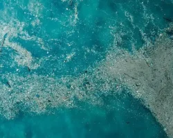 Doğayla Uyumlu Yaşamalıyız: Plastik Kirliliğine Son Ver, Yaşamı Koru!