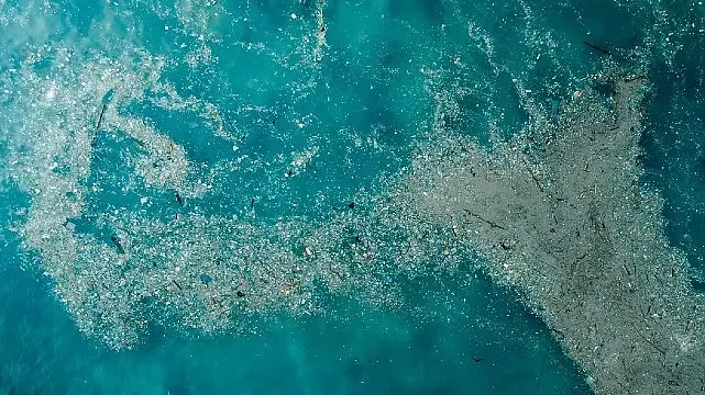 Doğayla Uyumlu Yaşamalıyız: Plastik Kirliliğine Son Ver, Yaşamı Koru!