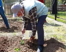 İstanbullu Halk Bostanlarını Çok Sevdi