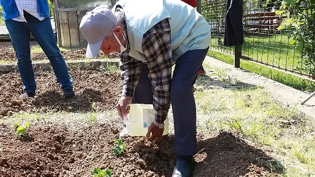İstanbullu Halk Bostanlarını Çok Sevdi