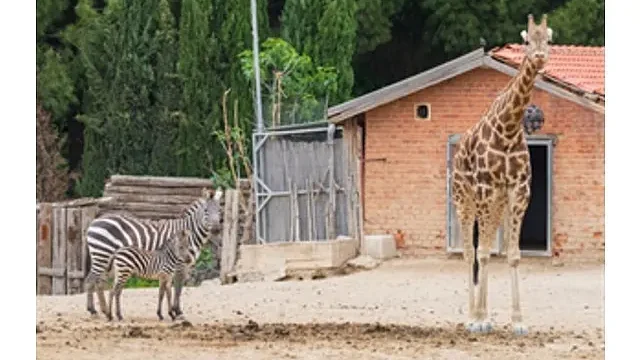 İzmir Doğal Yaşam Parkı bayramda  ziyaretçileri bekliyor
