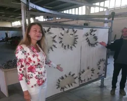 Kabak Kemane üretiminde yenilikçi yaklaşım