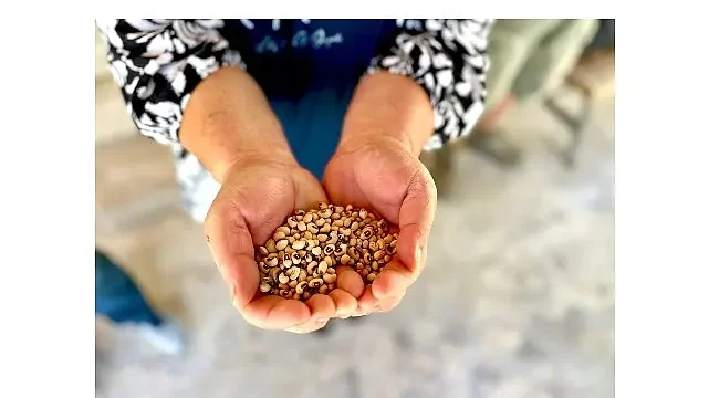 Köylünün toprağına, Urla’nın börülcesine sahip çıkıyoruz