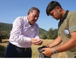 Milas Belediyesi Karakılçık Buğday Hasadı Gerçekleştirdi