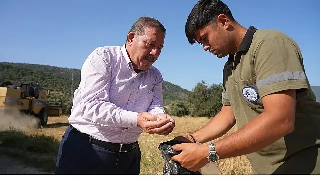 Milas Belediyesi Karakılçık Buğday Hasadı Gerçekleştirdi