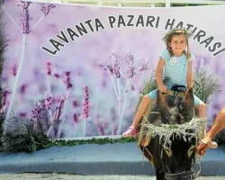 Mis Gibi Şenlik: Seferihisar’da Lavanta Büyüsü Başlıyor