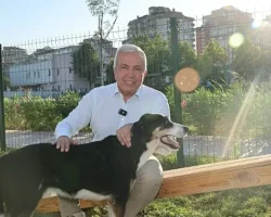 Nilüfer’de can dostlar yeni yuvalarına kavuştu