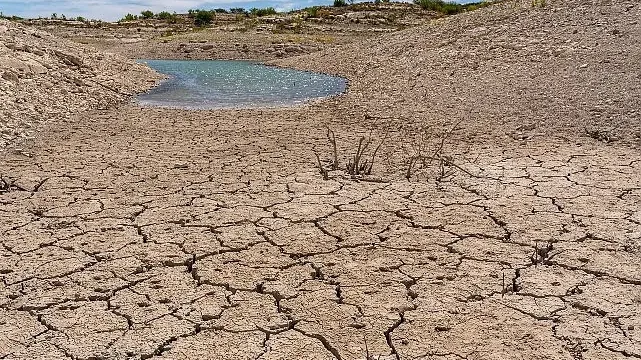 TEMA Vakfı: Toprağı İyileştirmek, Doğayı ve Geleceği Korumaktır