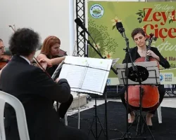 Tirilye’de zeytinin çiçeği açtı, festival sokakları sardı