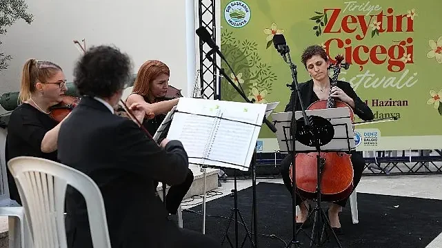 Tirilye’de zeytinin çiçeği açtı, festival sokakları sardı