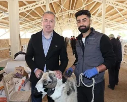 Yeni Kurban Pazarı Alıcının da Satıcının da Yüzünü Güldürdü…