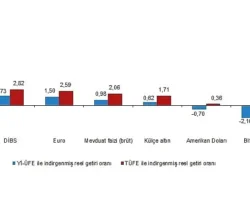Aylık en yüksek reel getiri Devlet İç Borçlanma Senetleri (DİBS)’te oldu