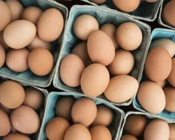 DFİF kesintisi kalktı, yumurta ihracatçısı rahatladı