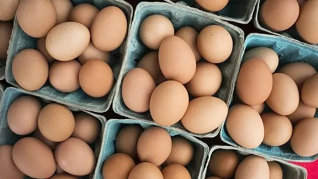 DFİF kesintisi kalktı, yumurta ihracatçısı rahatladı
