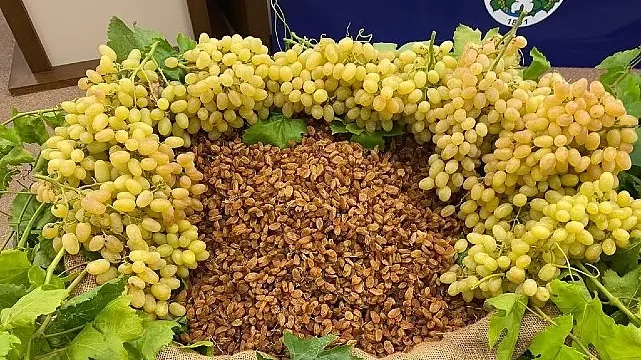 Kuru meyve sektöründe 12 ihracat şampiyonunun 11’i Egeli