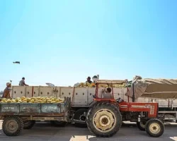 Manavgat Yeni Hal Toptancı Kompleksi üreticilerin ve tüccarların yüzlerini güldürüyor