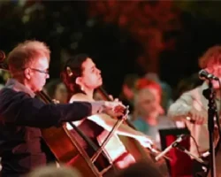MAV Cello Ensemble, Zeytin Altında yaz esintisi yaşattı