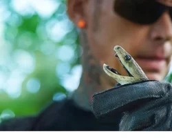 ‘Şehirdeki Yılanlar: Zehrin Ötesi’, 11 Temmuz Cuma 20.00’de National Geographic WILD Ekranlarında!
