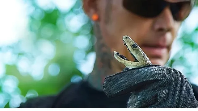 ‘Şehirdeki Yılanlar: Zehrin Ötesi’, 11 Temmuz Cuma 20.00’de National Geographic WILD Ekranlarında!