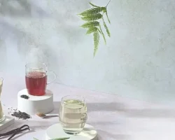 Sıcak yaz günlerinde serinleten beslenme çözümleri