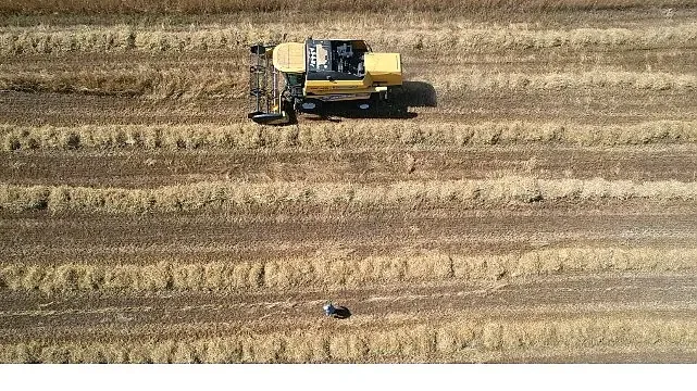 Tarımda verimlilik Büyükşehir’le artıyor