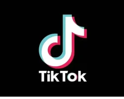 TikTok araştırmasına göre arama alışkanlıkları değişiyor, kullanıcılar artık “ilham” peşinde!