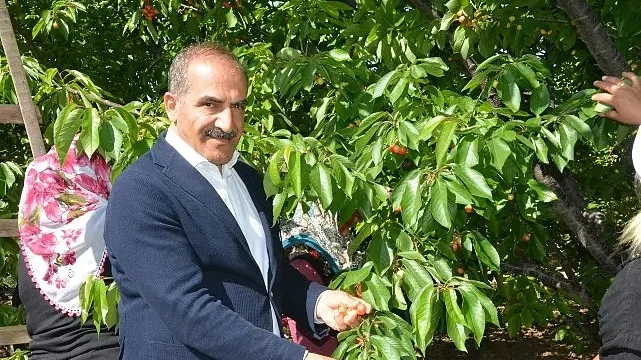 Uçak; “Don kirazı, kiraz ihracatı vurdu”