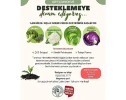 Yüzde 50 Hibelı Kışlık Sebze Fidesi Başvuruları Başlıyor