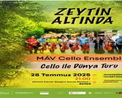 Zeytin Altında konserleri MAV Cello Ensemble ile başlıyor
