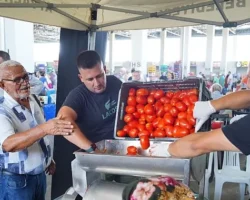 Ayvalık’ta Salça Zamanı Başladı