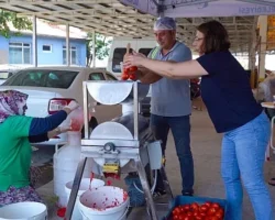 Ayvalık’ta Salça Zamanı Başlıyor!