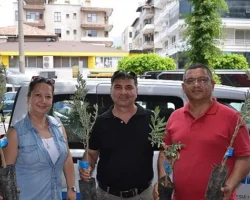 Büyükşehir’den üreticiye zeytin fidanı desteği