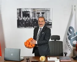 Ege Bölgesi Narenciye Rekoltesi 449 bin ton