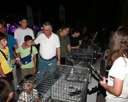 Kemer’de sokak hayvanları yararına ikinci konser